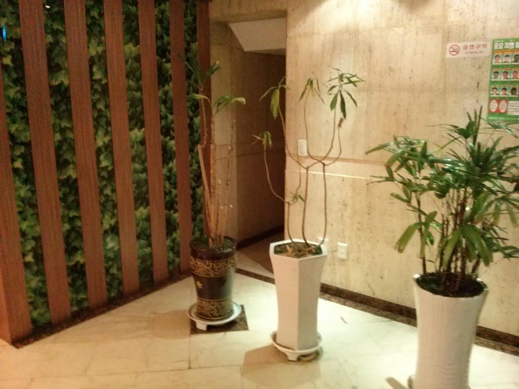 Apsan Business Hotel Daegu Esterno foto